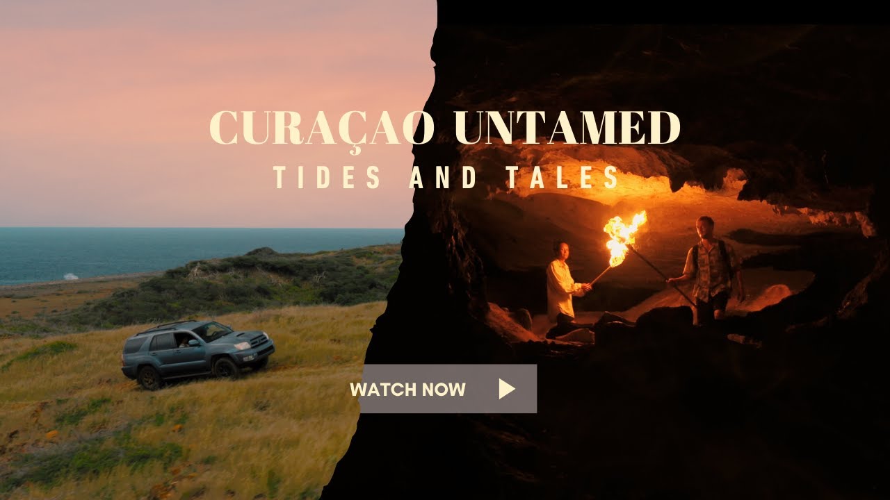 Things to See on Curacao: Cinematic Travel Film