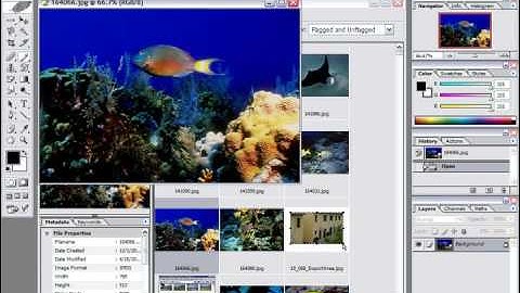 Photoshop CS5 Tutorial Using the File Brower-7 & CS Adobe Training Lesson 1.5