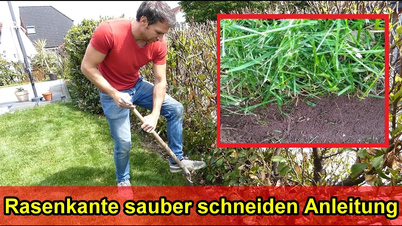 Rasenkanten ganz einfach abstechen Tipp Englische Rasenkante sauber