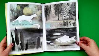Information You Belong Here Children's Book Read Aloud Update