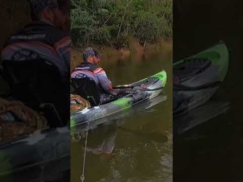 Vídeo: Você pode usar um barco a remo em michigan?