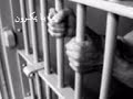 نشيد مهما تطول سجون مهما بنا يمكرون