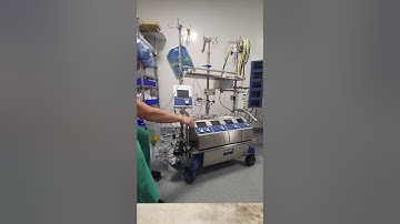 Perfusion 101: Intro to the Heart Lung Machine