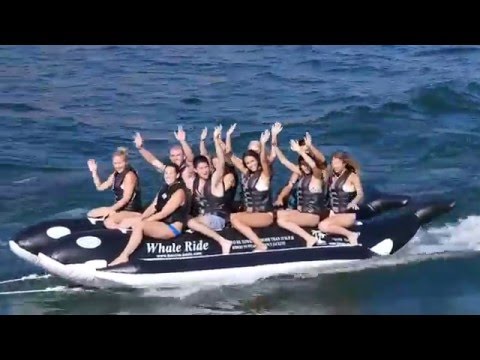 Island Hopper Whale Ride Banana Bus