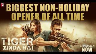 Tiger Zinda Hai Box office Collection | Three days collection | Biggest Non holiday opener