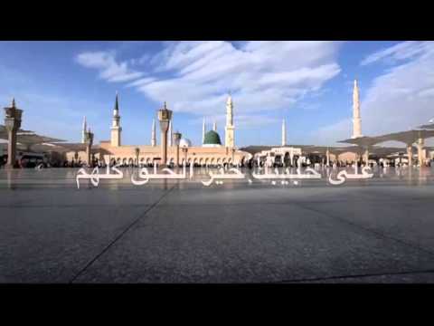 ماهر زين مولاي     