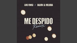 Me Despido (Remix)