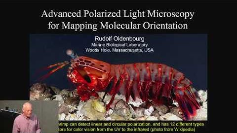 Advanced polarized light microscopy for mapping molecular orientation