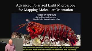 Advanced polarized light microscopy for mapping molecular orientation