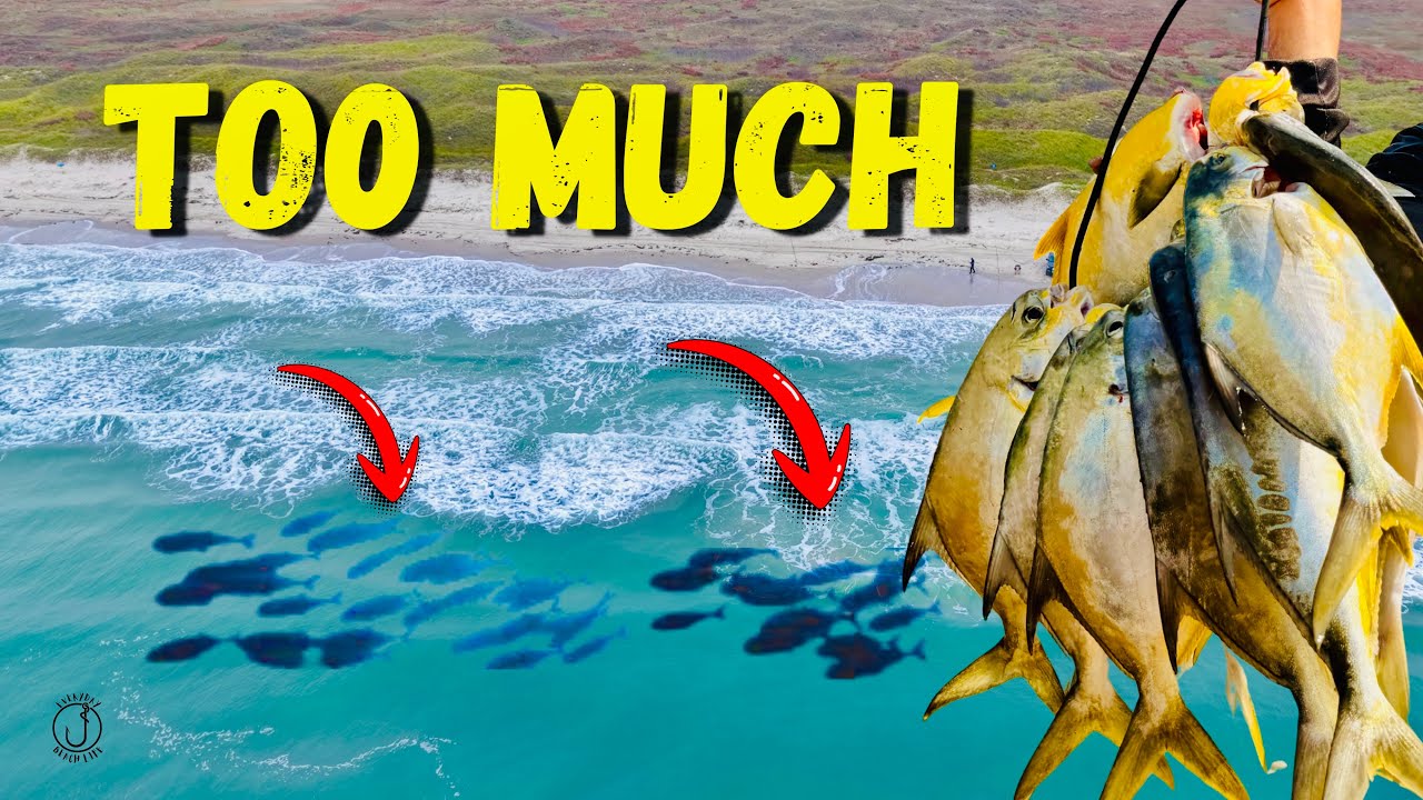 Слишком много рыбы одновременно… Я к этому не был готов!