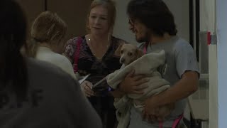 167 pets find new homes on first day of Mega Adoption event