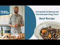 Beef  balanced  complete homemade dog food recipe by the dog nutritionist