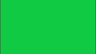 Blank green screen for 24 hours | NO ADS | 4K
