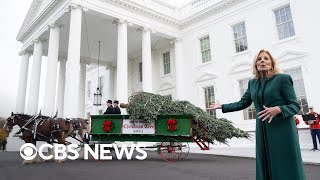 First lady Jill Biden receives White House Christmas tree | full video