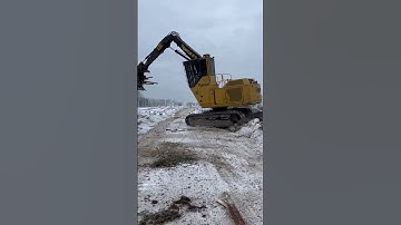 Tiger cat on the move! #trucker #logging #shorts #viral ￼