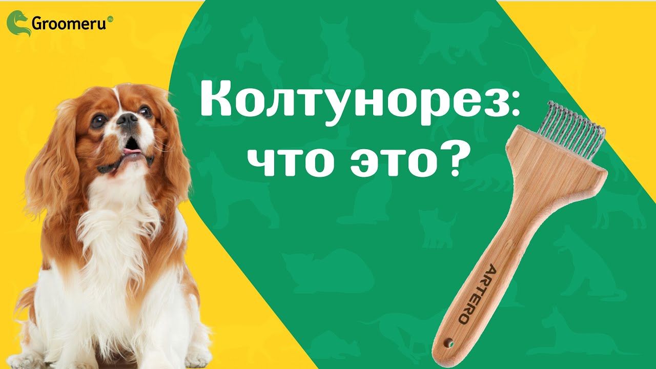 Колтунорез: что это? как работать и для каких целей использовать грумеру или владельцу для ухода