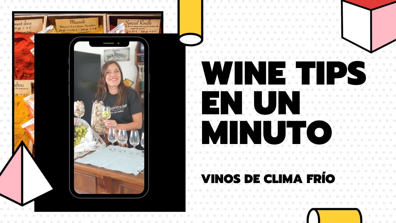 ¿Cómo son los Vinos de Frio ❄️?