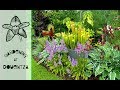 A Tour Of My Garden, Douentza in Wexford, Ireland