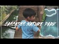 CASCADES NATURE PARK - Canon M50 Cinematic Video | Canon M50 x Sigma 17-50mm f2.8 x DJI Mini 2