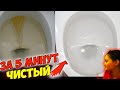 БЕЛОСНЕЖНЫЙ УНИТАЗ за 5 минут - невестка в ШОКЕ!