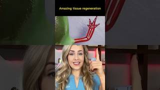 Did You Know Salamanders Can Do This?