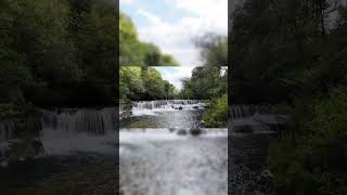 Calm Water Stream and Birdsong.... #10#shorts