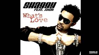Video thumbnail of "What's Love - - Shaggy feat Akon(HRVTH CLUB MIX 2018)"