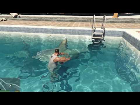 ჩოპი vs ლომი GTA 5 ქართულად - GTA 5 chop vs lion (who wins)