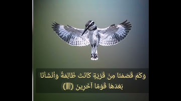 القرآن الكريم سورة الأنبياء صفحة 323