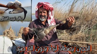 صيد الطيور الحذاف وابوبسيله والزركي في حدود العراقيه الايرانيه  Hunting birds in lraq