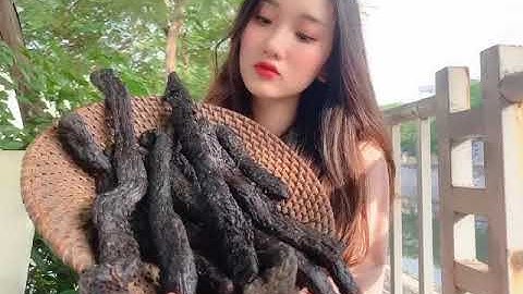 NHỤC THUNG DUNG LÀ CÂY GÌ - THẢO DƯỢC BẢO KHÁNH