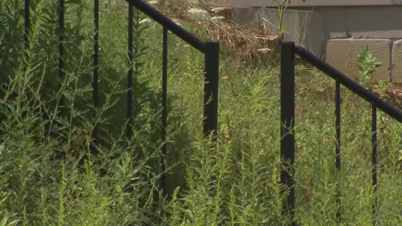 videos for cats Local township cracking down on homeowners who aren't taking care of their property