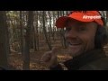 La gamme Aimpoint - (Wild Boar Fever promo)