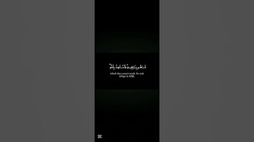 اسف على القطعه: تلاوه الشيخ ياسر الدوسري
