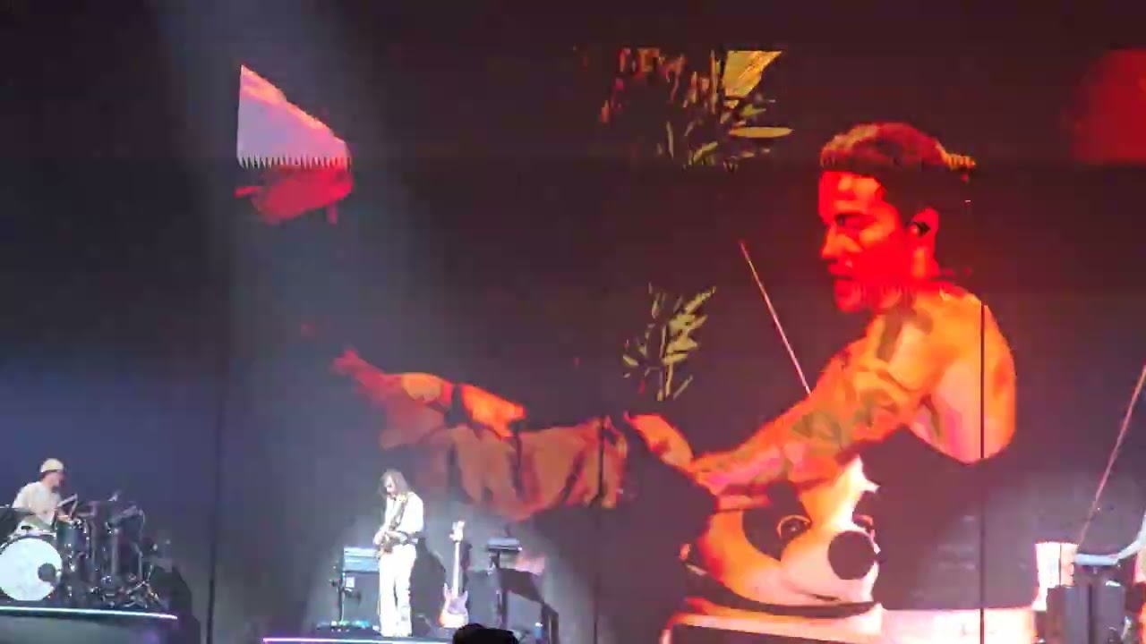 #juliendoré - Coco caline