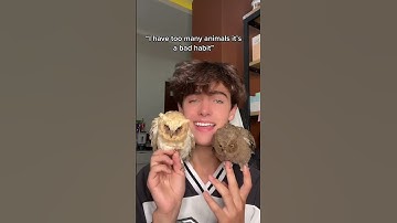 I really want my own zoo 🥺 #kylethomas #shorts