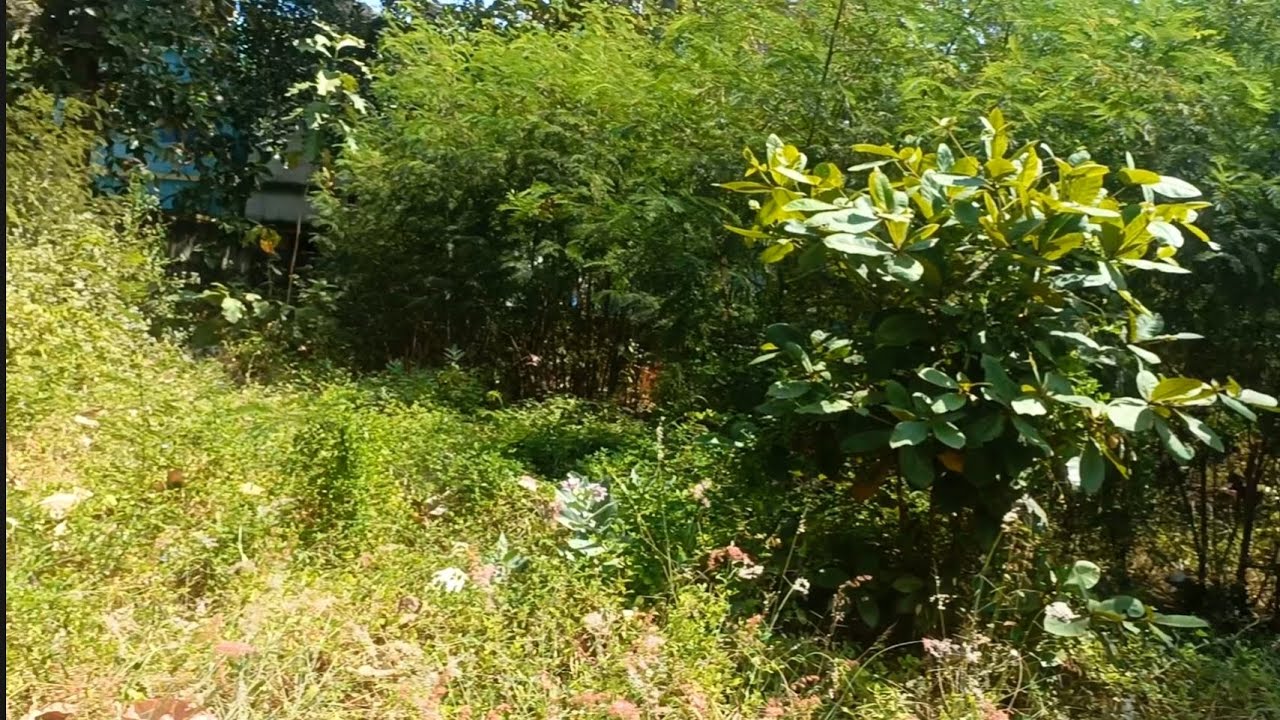 Land for sale in Nagercoil 1 Cent: 15 lakh only 