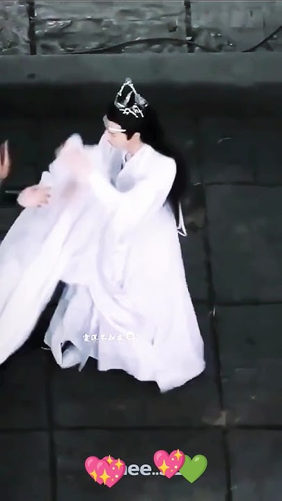 the-untamed-bts-yizhan-what-is-love-xiaozhan-wangyibo