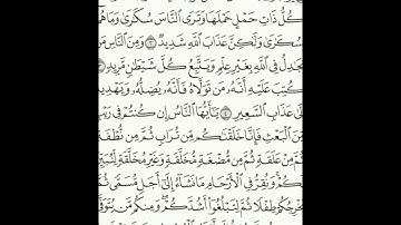 سورة الحج 1-5 (٣٣٢)     Sheikh Anas AlHibri