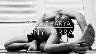 Yoga Philosophy Wtony Parra-Yogas Role In The Age Of Enlightenment