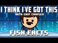 I Think I've Got This With Chip Chapley - Episode 1 "Fish Facts"