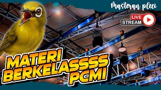 🔴 LIVE Masteran Pleci Materi Lomba Pcmi Terbaru