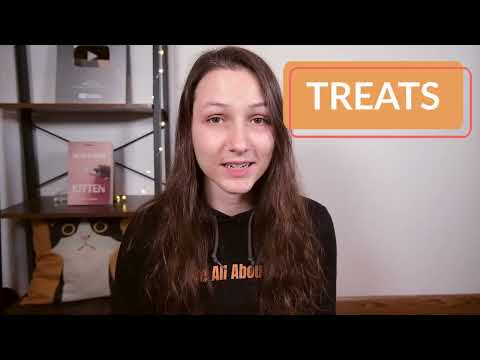 A still from the video New Cat Essentials (Budget Edition): Everything You Need Under $106 by Cats