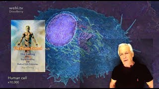Overview of the Phoenix Protocol #dryfasting #fasting