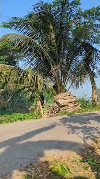 #music #speedsong #remix #dj #alanwalker #aloneptii