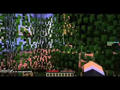 Eftelingcraft Glitch ft DjJertje #2