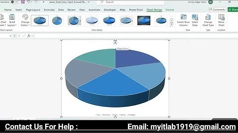 Excel_Introductory_Capstone2_Annual_Report | Excel Introductory Capstone2 Annual Report