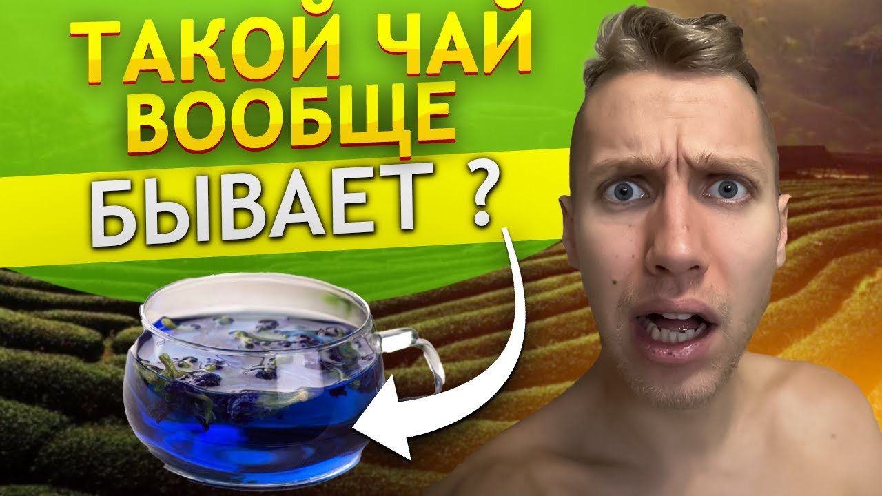 ИСЦЕЛЯЮЩИЙ СИНИЙ ЧАЙ АНЧАН ! В чем полезные и целебные свойства для ...