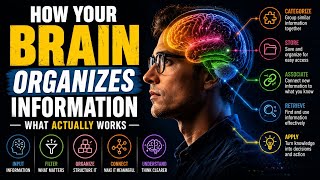 How Your Brain Organizes Information — What Actually Works