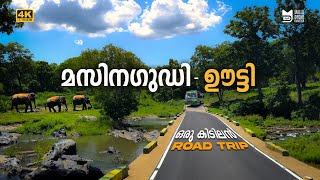 Masinagudi to Ooty  36 Hair Pin കേറി ഒരു കിടിലൻ one way road trip!!